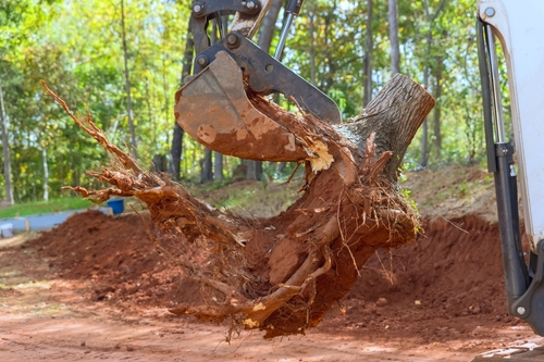 DÉSSOUCHAGE ET ROGNAGE D’ARBRE PRES DE MONT DE MARSAN