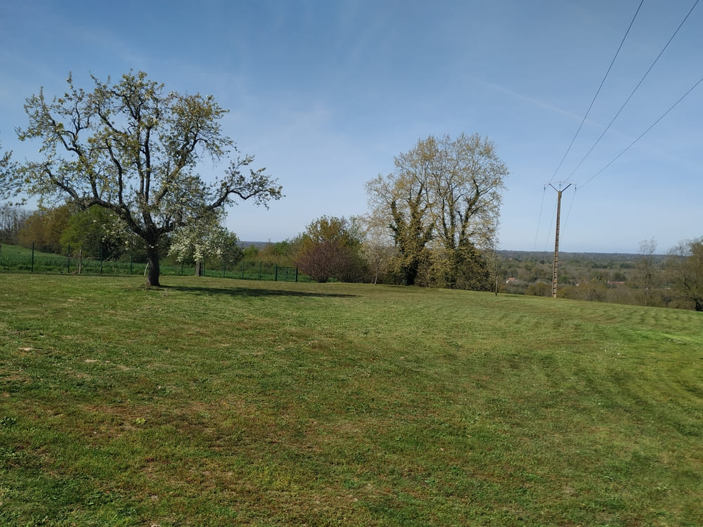 débroussaillage mont de marsan