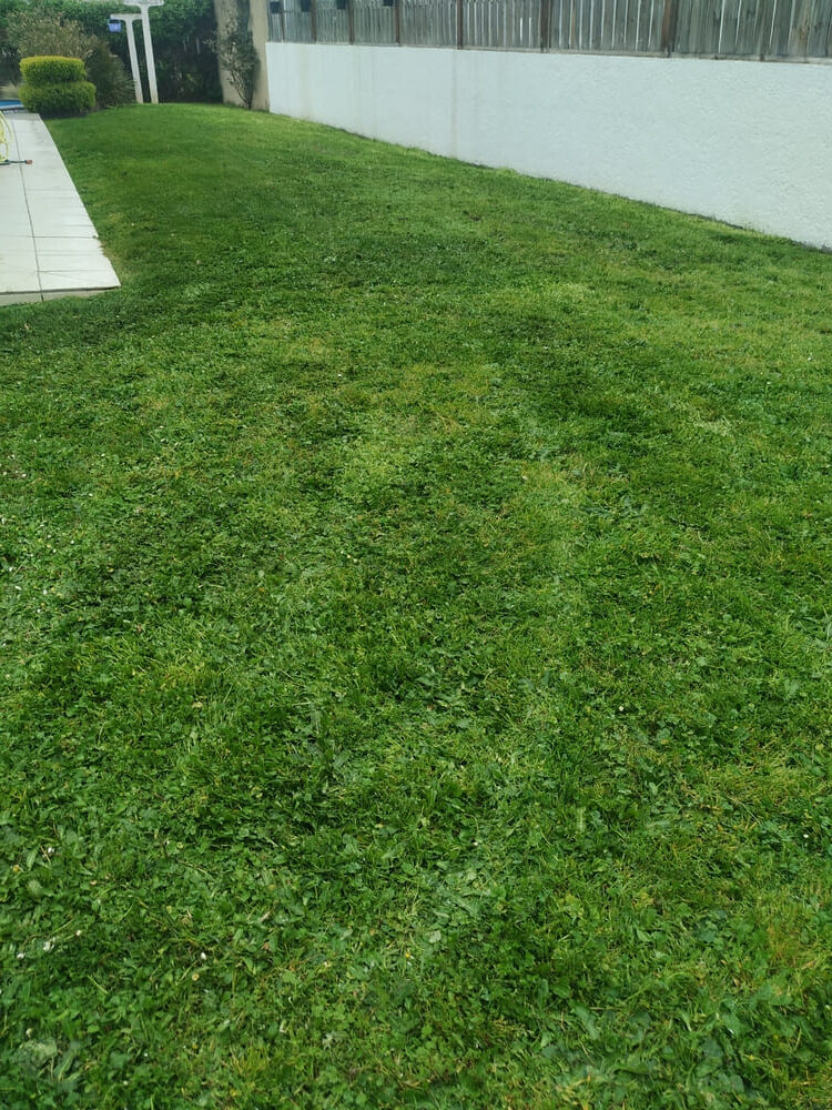 Arrosage automatique 2 spm 40 arrosage automatique mont de marsan