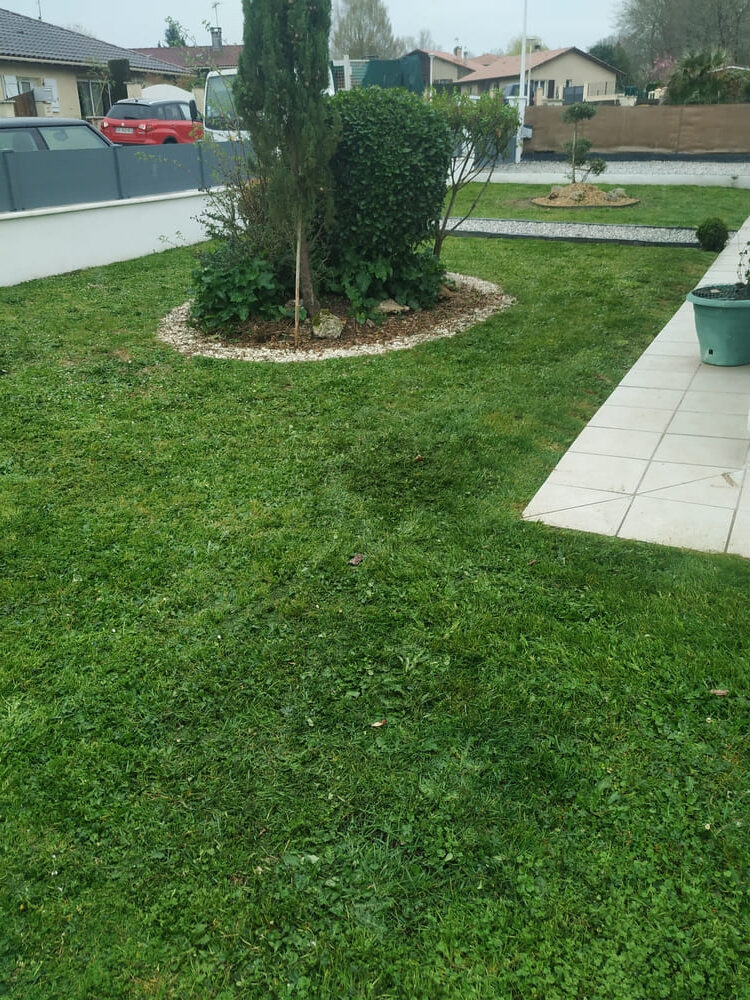 Plantation 4 PLANTATION D ARBRE ET DE HAIE MONT DE MARSAN