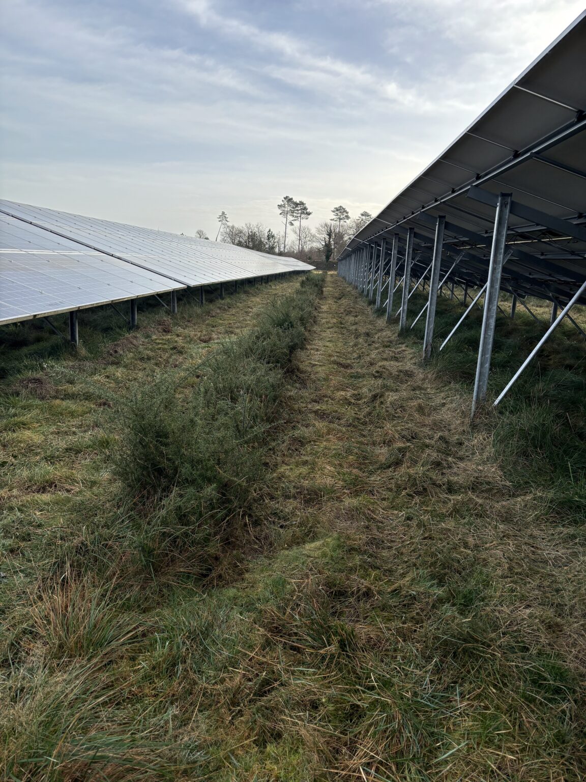 Désherbage 3 spm40 désherbage mont de marsan