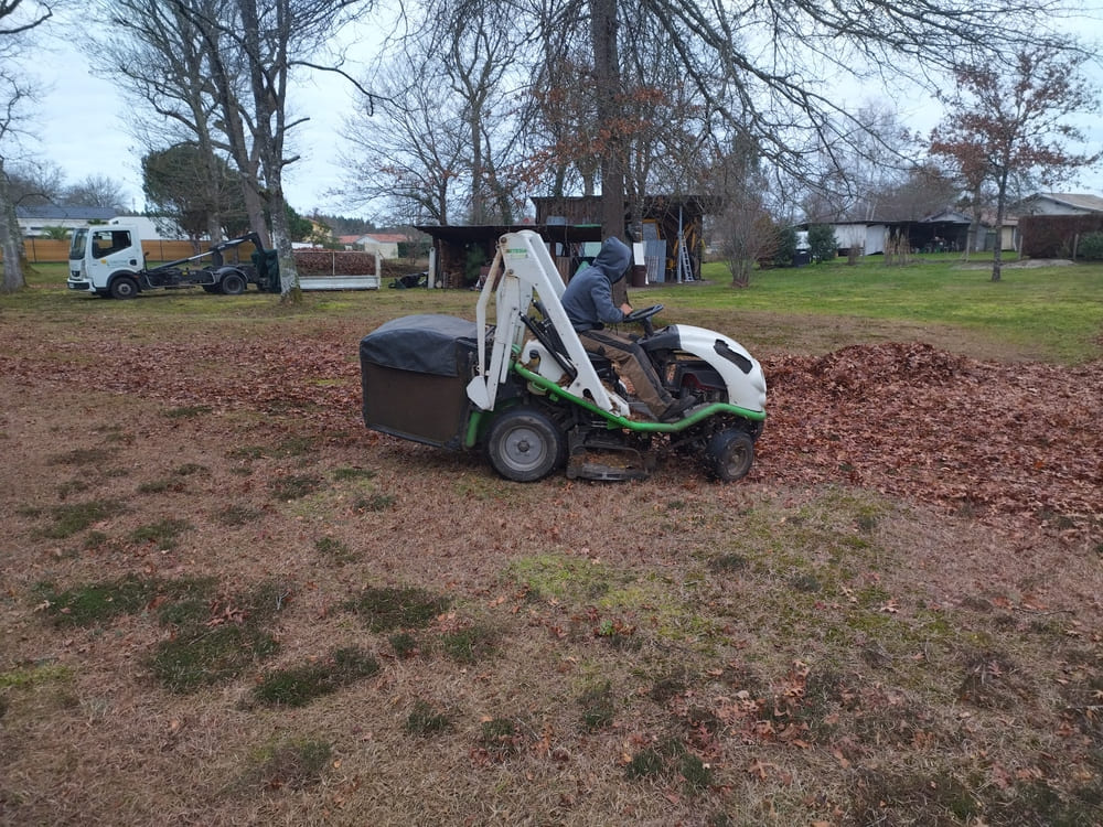 Débroussaillage 3 défrichage et débroussaillage mont de marsan
