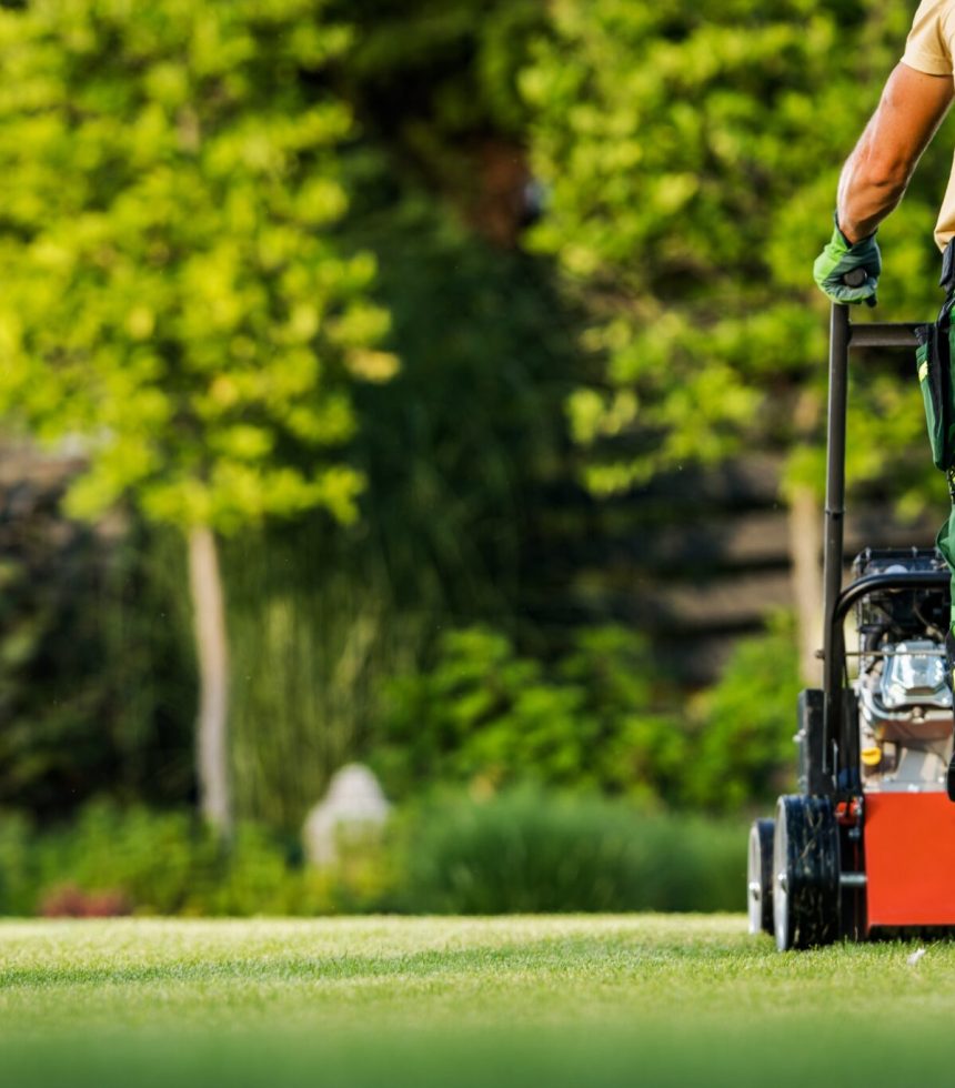 SPM 40 jardinier mont de marsan